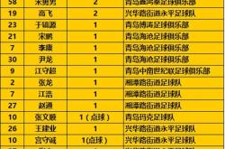 雷速体育电脑版官网下载-中南球队击败黑马，实力惊人的简单介绍