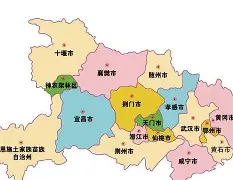 湖北队全队齐心协力，一起迎接胜利的简单介绍