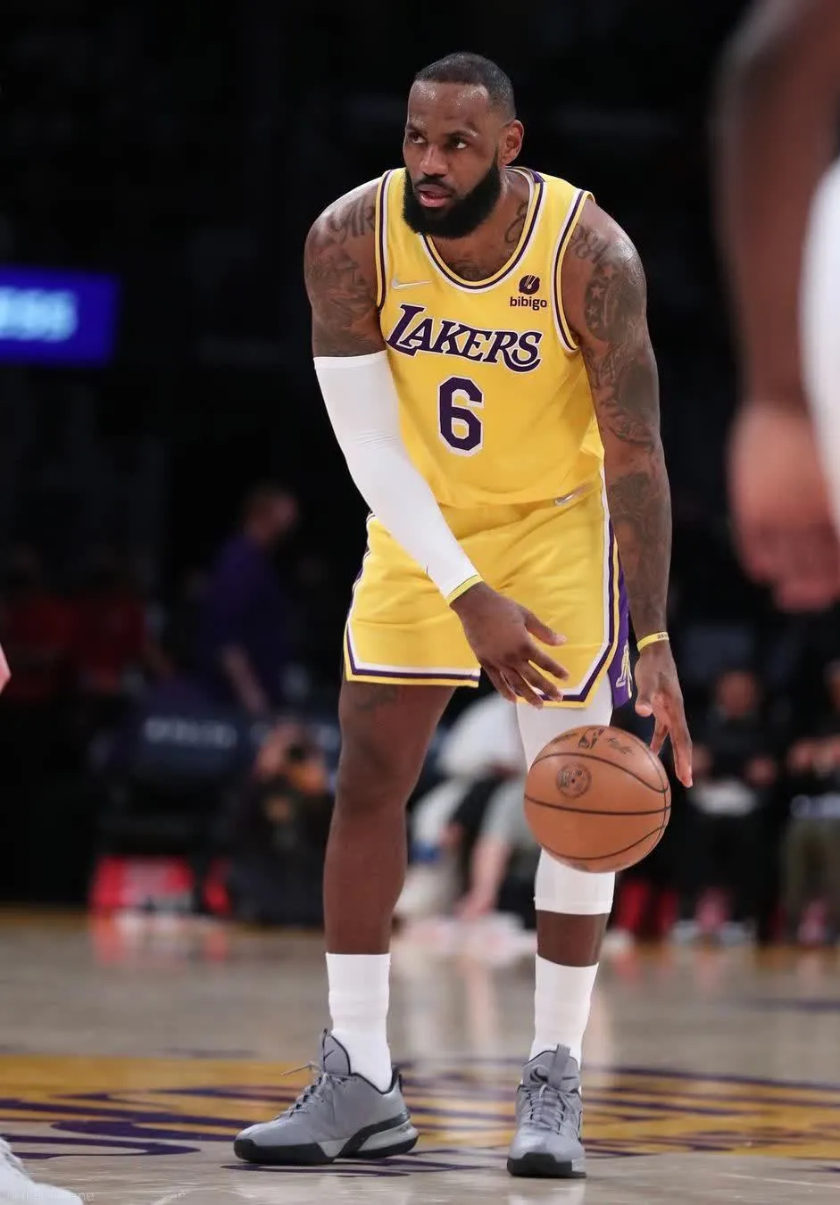 包含浙江队力克太阳，戈贝尔状态火热的词条