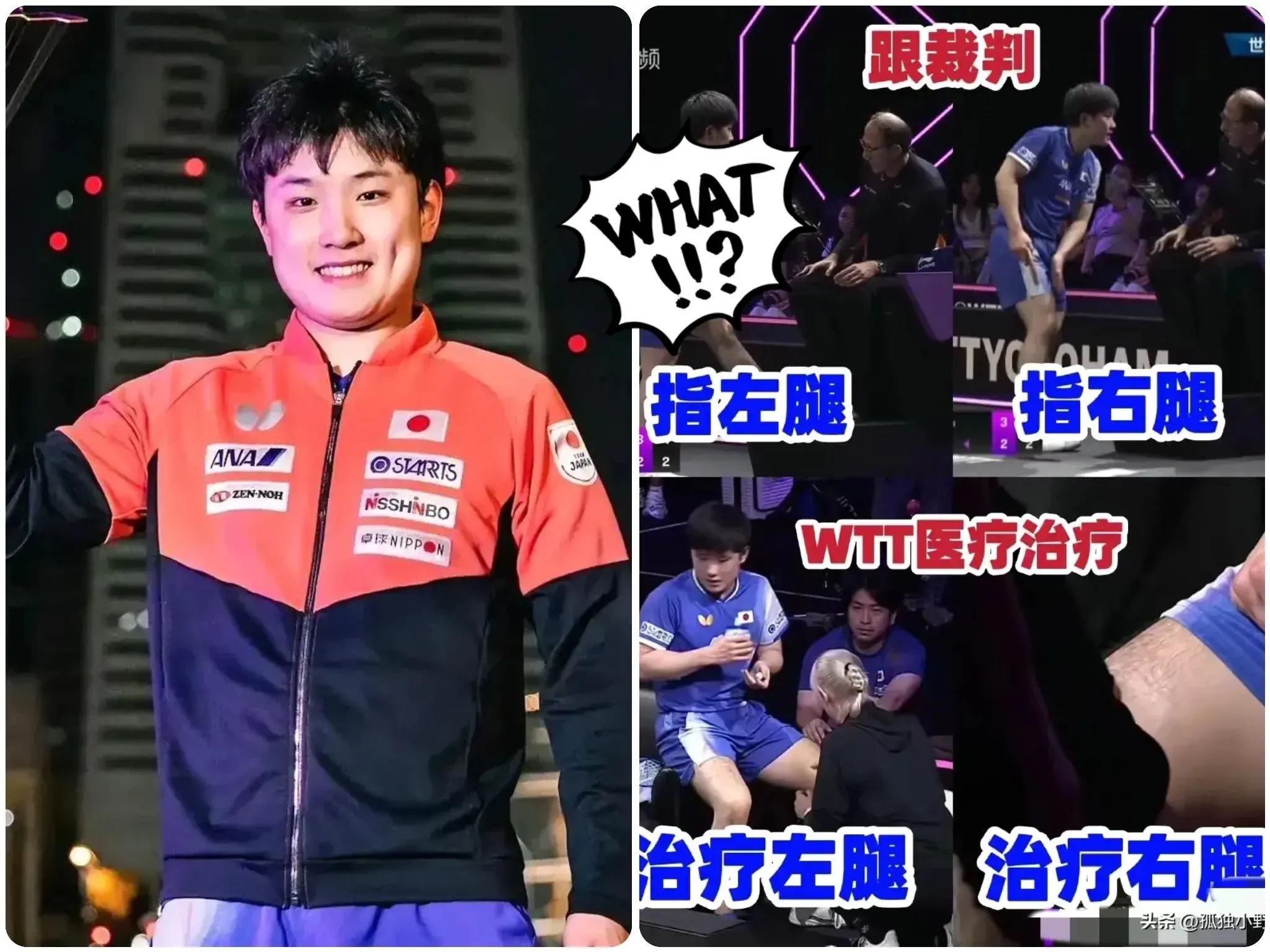 韩国队横扫波兰队，张本智和高光表现